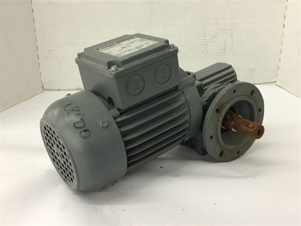 Bauer BS03-38H/D06LA4 .18 KW Gear Motor 220 Volts 1350 Rpm 62:1 Ratio