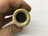 Wayne Well Pump 3/4" Foot Valve