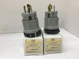 Arrow Hart 6202 20A 125V Locking Plug Lot Of 2