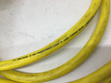 Daniel Woodhead 41112 Cable 11-1/2' L 600 V 8 Amps
