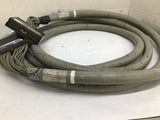 IBM Type A 2281630 Cable