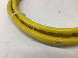 Micro Switch 6' Brad Harrison Cord
