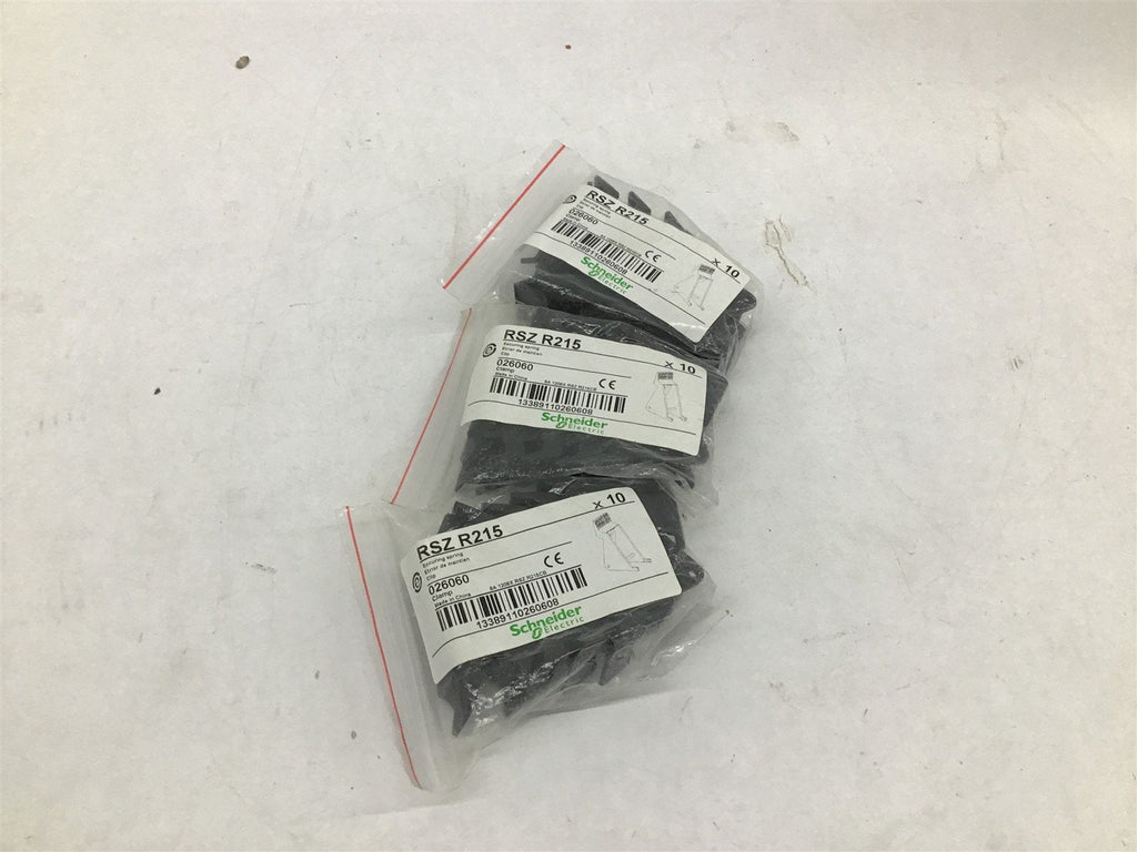Schnieder RSZ R215 026060 Securing Spring Lot of 30