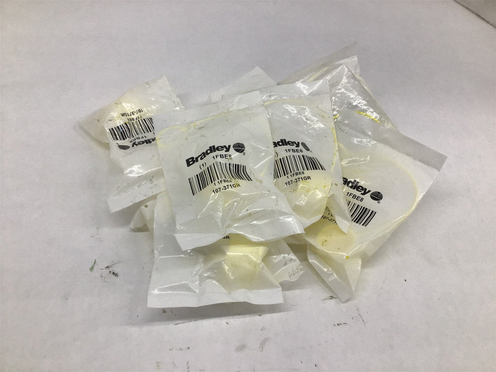 Bradley 1FBE8 107-371GR Lot of 10