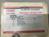 Fisher RPACKX00012 Process Protection Kit