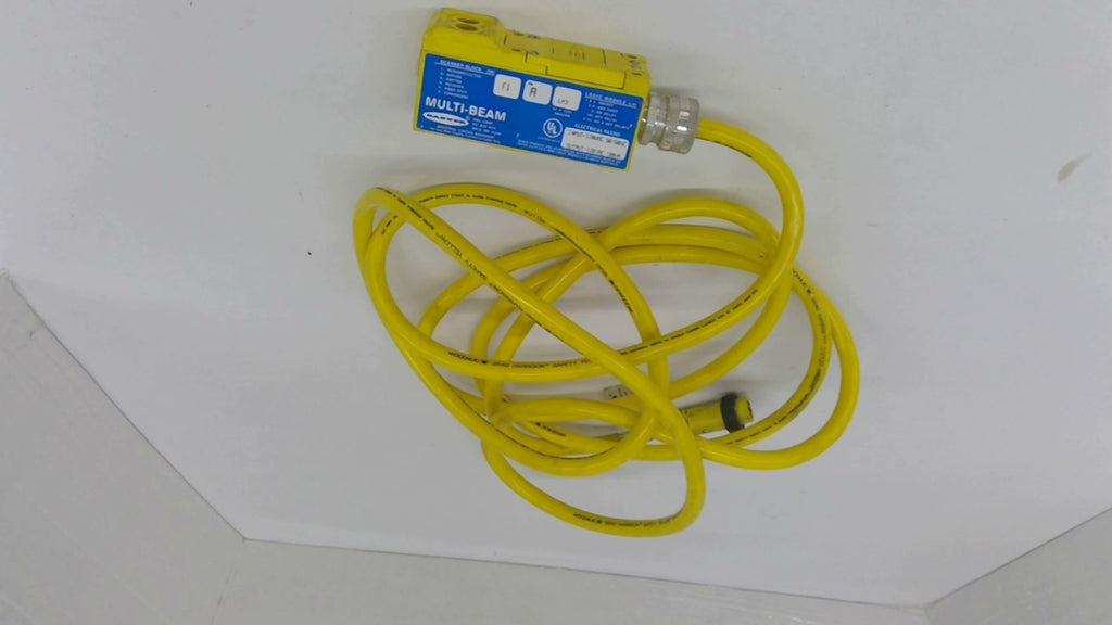 Scanner Block F1 LM3 A Input-120VAC 50/60HZ Multi Beam 1 1' 2"