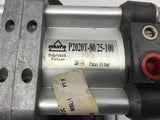 Pimatic Pneumatic Cylinder P2020T-80/25-100