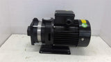 Walrus TPH2T2K-A Water Pump