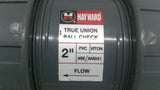 Hayward NSF/ANSI61 2" True Union Ball Check