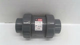 Hayward NSF/ANSI61 2" True Union Ball Check