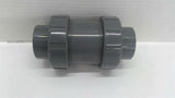 Hayward NSF/ANSI61 2" True Union Ball Check