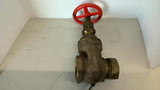 Powgatan 19-281 2 1/2" Fire Hose Valve