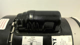 Little Giant 585504 115/230 V Single Phase Pump 1/3 Hp Single Phase