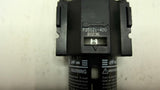ARO F25121-400 Air Filter 1/4"