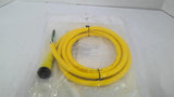 Allen Bradley 889N-F3AFC-6F QD Cord set 3 PIN Mini Straight 6 Feet