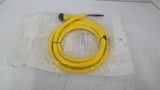 Allen Bradley 889N-F3AFC-6F QD Cord set 3 PIN Mini Straight 6 Feet