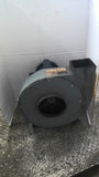 Peerless PW11 Blower 1.5Hp 115/208-230V Single Phase