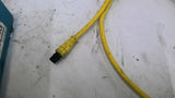 Controlling Engineering Company C0049536 Controller