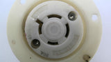 Nylon L16-20 20A 480V Flanged Plug