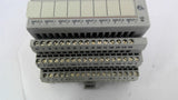 Allen Bradley 1794-IT8 Thermocouple Input Channel