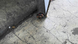 Essex Royal 16/20 SOW 600V E42608RI Wire Cable 130'