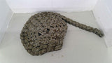 Renold XL BL 800 24 Roller Chain 12'
