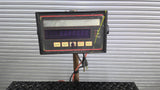 Rice Lake 2X2SP-1K Weighing System with Rough Deck Platform 1000 lbs IQ+310A-FA