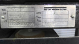 Rice Lake 2X2SP-1K Weighing System with Rough Deck Platform 1000 lbs IQ+310A-FA