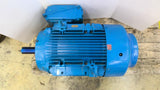 Brook Hansen W-DF324T-NX 40hp AC Motor 1800 RPM4p 3ph 324T 480v TEFC 60hz