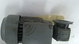 Bege AM63ZAA4 Gear Motor 1/4HP 277/480V 40:1 R