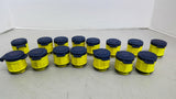 Econ-0-Flip Positive Closure Cap Lot of 15