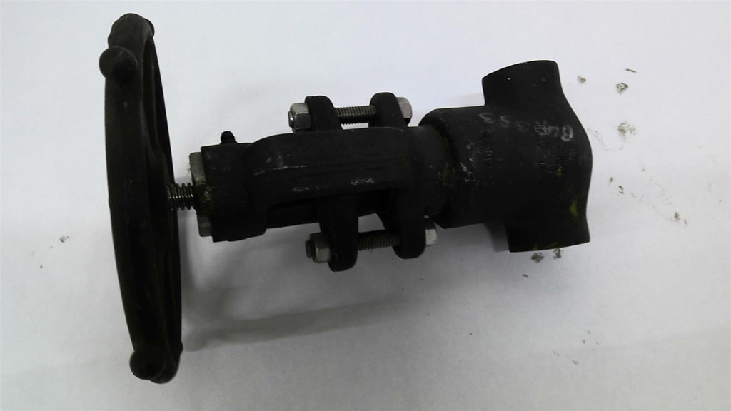 Flowserve SW66723 Globe Valve