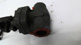 Davis A105N Globe Valve 1"