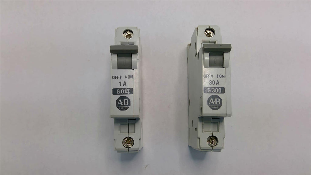 Allen Bradley 1492-CB1 G300 30A W/ Allen Bradley 1492-CB-1 G010 1A
