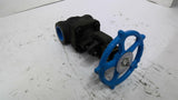 Velan W-2074B-02TY Globe Valve 1975 PSI 1"