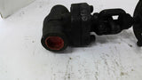 Davis 8GLWFS1 Globe Valve 1" 1795 PSI