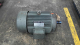 Worldwide WW10-215T 10 HP AC Motor 1800 RPM 4 P 3 PH 215T 230/460 V TEFC 60 HZ