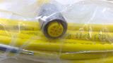 Turck RKV4.2T/5/S748 EuroFast Cable