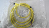 Allen Bradley 889R-F3ECA-2 QD Cordset