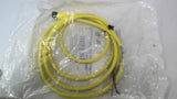 Allen Bradley 889R-F3ECA-2 QD Cordset