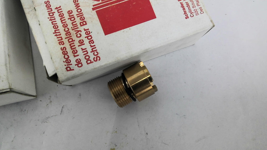 Schrader Bellows B732700 ECONO-RAM GLAND KIT
