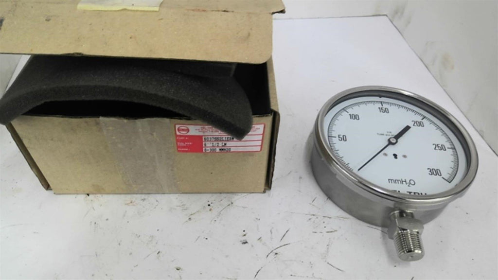 TEL TRU 6037SS2L1E8M 0-300 Gauge 6" 1/2 LM