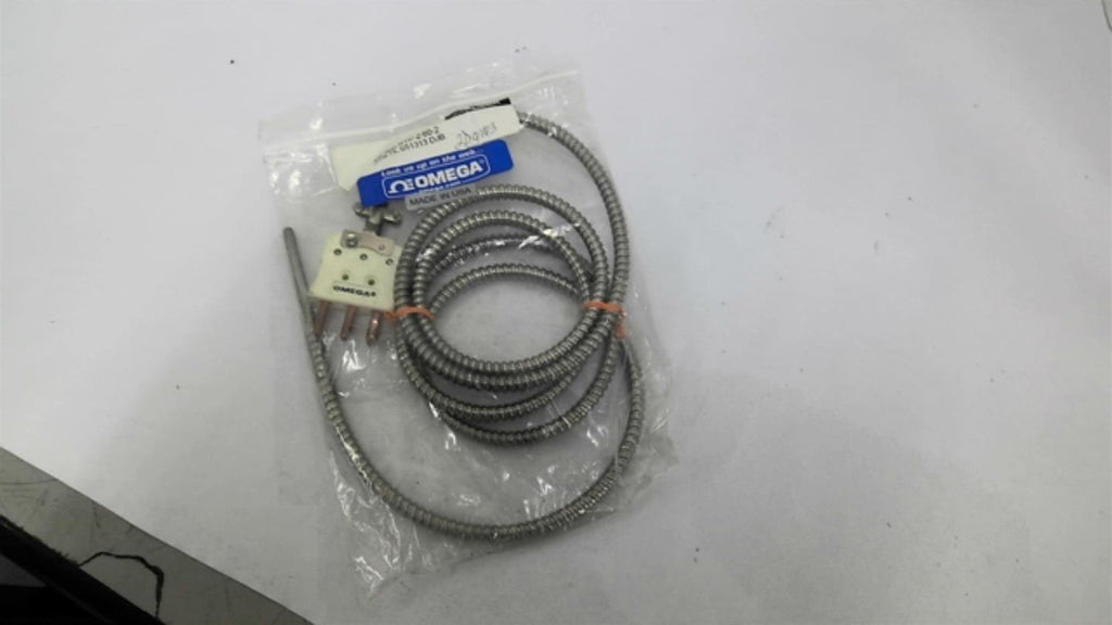 Omega CF-000-RTD-2-60-2 Extruder