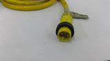 Micro-Switch BAF1-2RN18-RH With Daniel Woodhead LL22035 Cable
