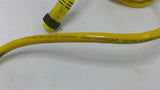 Pepperl+Fuchs NJ5-18GM70-E2-H77 W/ Daniel Woodhead E31793 FE-1424-C Bracket