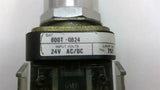800T-QB24 Green Illuminated Pushbutton Series T 24 Volts AC/DC