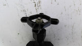 Lunkenheimer FIG1728 1/2" Valve