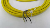 Murr 700-18041-0160500 Cable