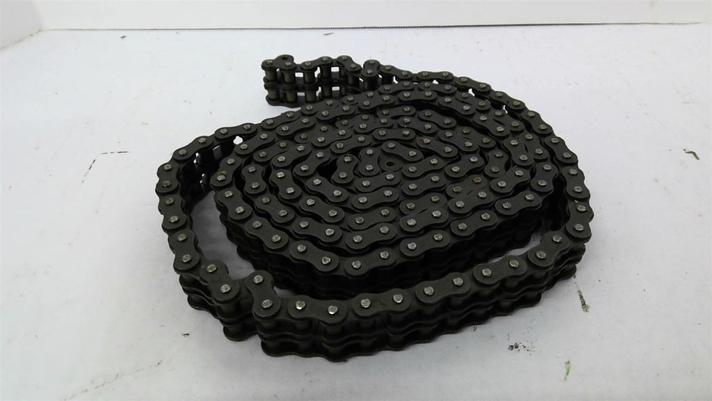 RS40-2 Chain Double 40 10' Long