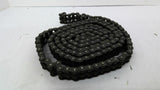 RS40-2 Chain Double 40 10' Long
